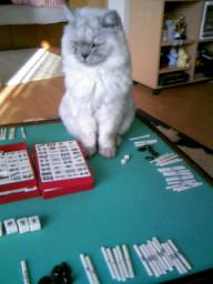 麻雀台の上で４