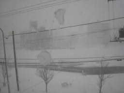 うさどん部屋から1226