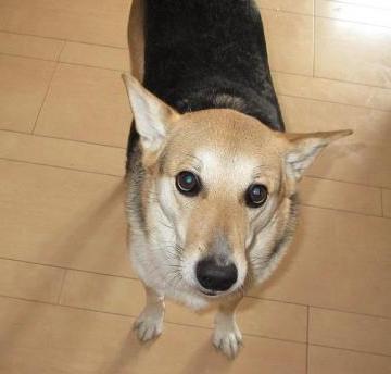 Star Cruises 004.jpg