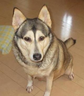 Star Cruises 005.jpg