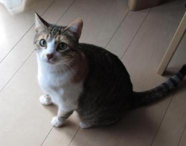 Star Cruises 006.jpg