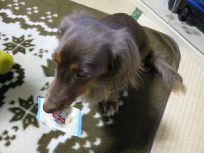 005 (13).JPG