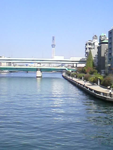 ランチ、風景♪