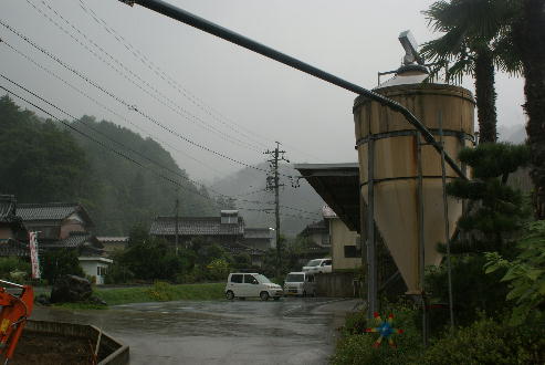 癒しの雨(20100915)