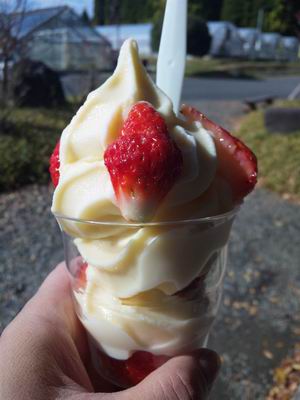 101123いちごのソフト.jpg