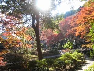 101117 両子寺1.jpg