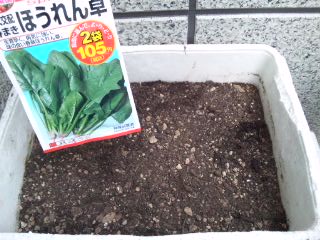 ほうれん草