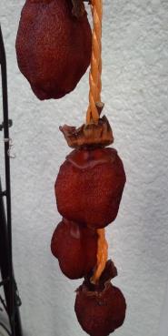 PAP_0416.JPG
