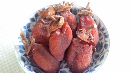 PAP_0468.JPG