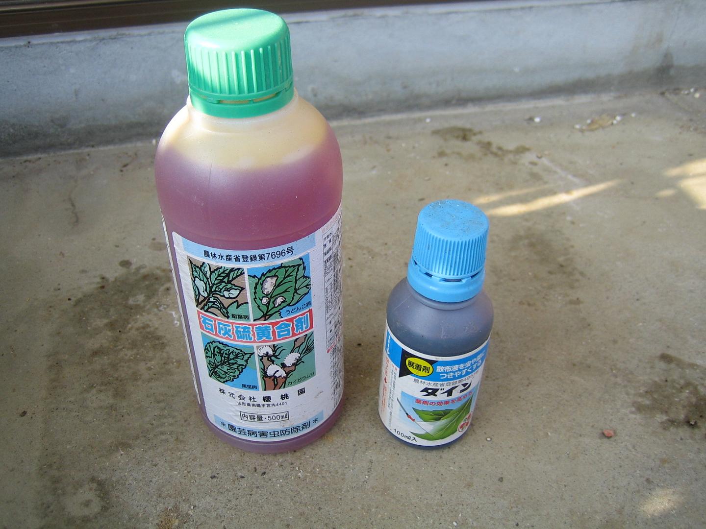 石灰硫黄合剤を 塗布しました バラとモルに囲まれて 楽天ブログ