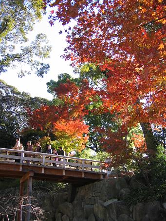 徳川園３