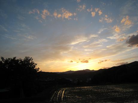 春の風景６