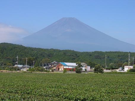 裾野市方面から富士