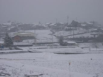 ３月末の雪１