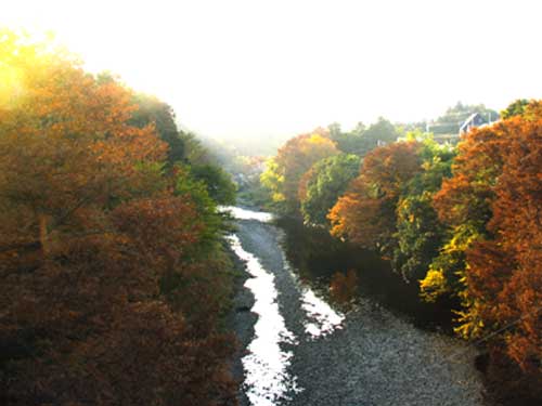 入間川