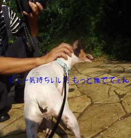 ナデテナデテ～