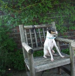 エマニエル夫人