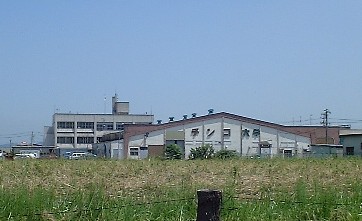 これでは「チンコ大学」です…