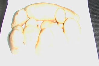 わが家のジャガイモ（●＾o＾●）