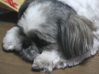 可愛いポーズ！