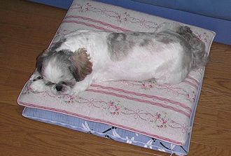 座布団二段がさねで～す