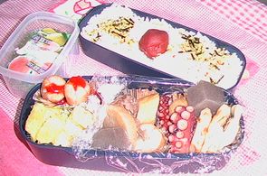 おぜん弁当(^^♪