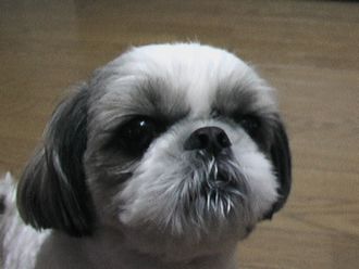 10/14 アップです！