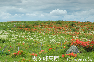 2011.霧ケ峰高原