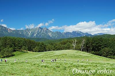 中山高原　おひさま　ロケ地