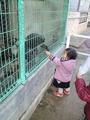 おさるさんもなれてるのでえさをてでとります