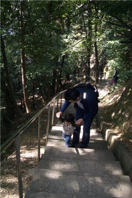 向日神社の階段