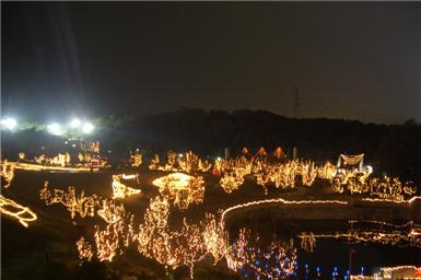 公園を一望するとこんな感じ