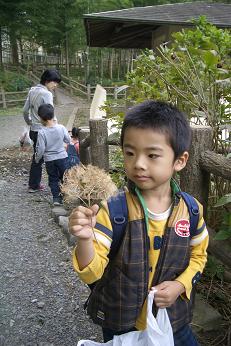 なんかすごいの発見