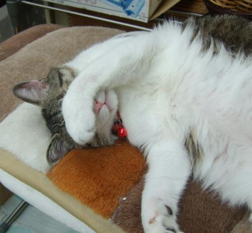 明日は雨かなぁ～