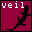 veil