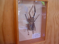 ６・２４ 035.jpg