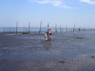 潮干狩り 001.jpg