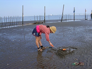 潮干狩り 003.jpg
