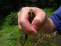 ６・２４ 006.jpg