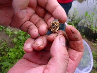 ６・２４ 013.jpg