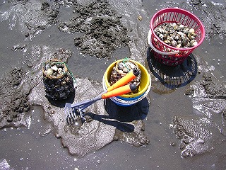 潮干狩り 013.jpg