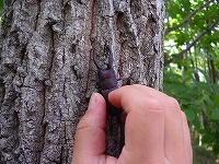 ６・２４ 032.jpg