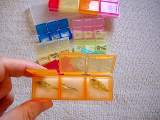 チリモン 029.jpg