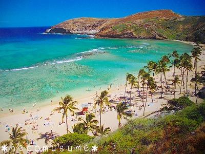 ハナウマ 004.jpg