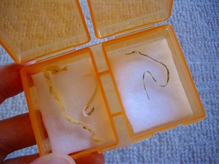 チリモン 031.jpg