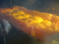 スチーム 007.jpg