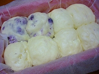 スチーム 009.jpg