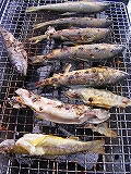 夏休み 065.jpg
