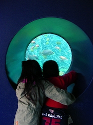 や・１８ 024.jpg