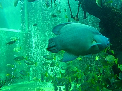 や・１８ 030.jpg